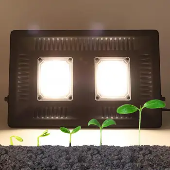 Diodo emissor de Luz AC110V/220V 100W LED Interior de Plantas que crescem a Luz de Espectro Completo da ESPIGA Planta Cresce a Lâmpada Led Cresce a Luz