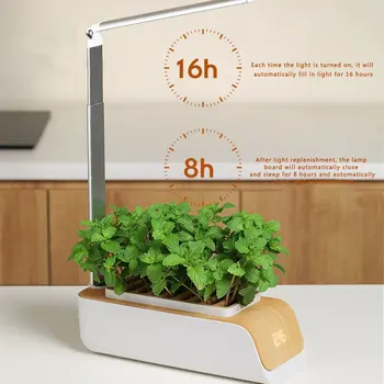 Smart Vegetal Automática Hidroponia Crescer Sistema Soilless Cultivo De Pequenos Vasos de Flores com Led Cresce a Luz de Cozinha em Casa